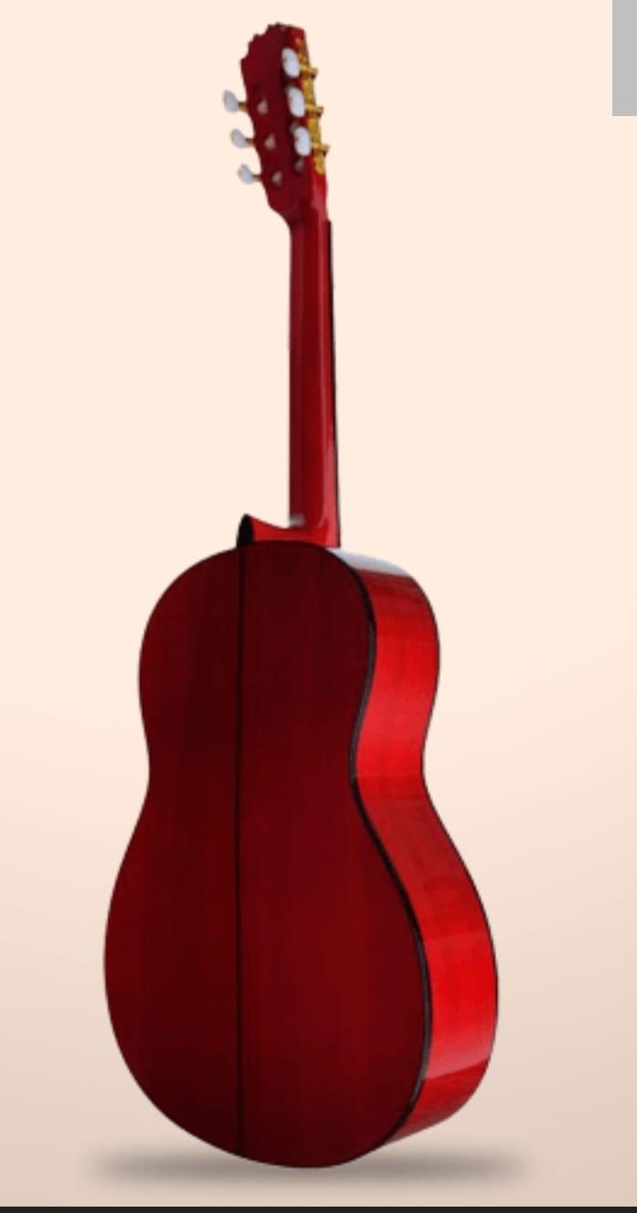 Guitare Model : Rouge SANS MICRO