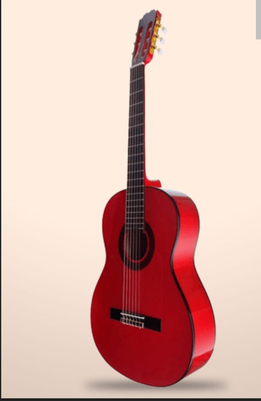 Guitare Model : Rouge AVEC MICRO DOUBLE OS1